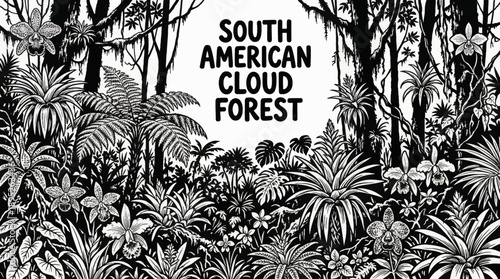 cloud forest ecosystems with dense vegetation, orchids, and mountain jungle plants black and white vector illustration