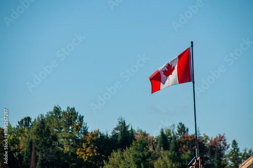 Schilderij op canvas A Canadian flag high up on a post blows in the wind in front of a forest during a sunny day