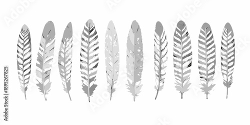 A collection of grey feathers arranged in a horizontal line