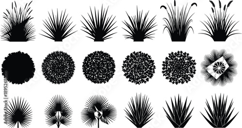 Silhouette set of decorative grasses and bushes, featuring ornamental plants, landscape elements, botanical foliage, and natural vegetation vector illustration isolated