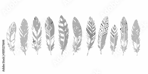 A collection of diverse gray feathers arranged in a horizontal line