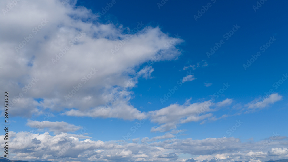 Fototapeta premium White and gray cotton-like clouds scattered across a deep blue sky. A bright, airy, and peaceful day with a wide view of the sky from below.