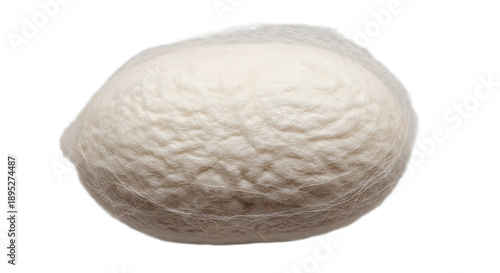 Single raw silk cocoon fuzzy organic texture