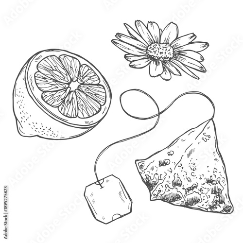 Tea sketch, vector illustrations set. Hand drawn graphic clipart of tea bag, slice of lemon and a chamomile