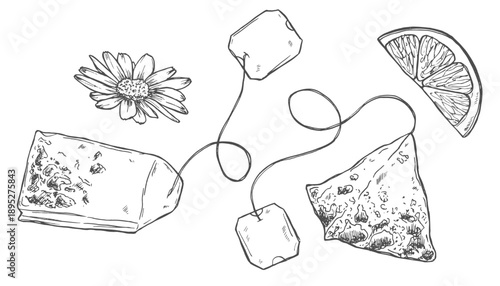 tea bag doodle hand drawn icon. Outline drawing tea bag line clipart symbol. Vector illustration