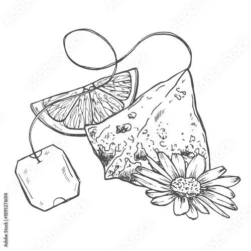 Black and white line drawing of pyramid tea bag with slice of lemon and chamomile. Freehand outline vector ink line art illustration.