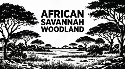 savannah woodland forests with acacia trees and grassland vegetation ecosystems black and white vector illustration