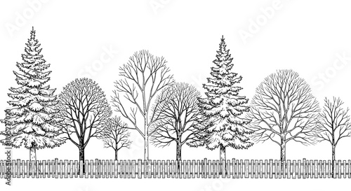 Simple black and white line drawing depicting various types of trees standing in a row behind a low wooden picket fence.