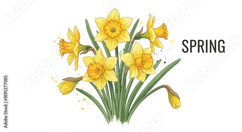 Bright spring illustration featuring a beautiful bouquet of yellow daffodils with green leaves and artistic paint splashes.