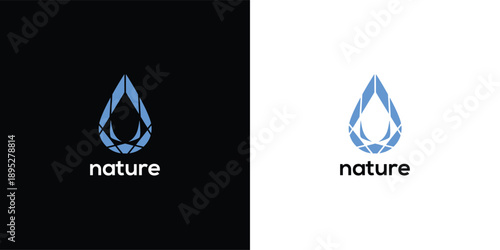 A blue water droplet logo on a split black and white background representing nature
