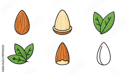 Almond nut icon set vector with peeled almonds and leaves