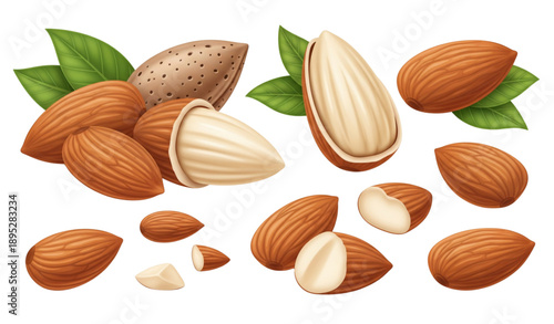 3D peeled almond nut vector illustration organic food concept