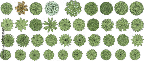 Top view green plants collection, botanical foliage bushes set, landscape garden elements, detailed nature vegetation illustration isolated