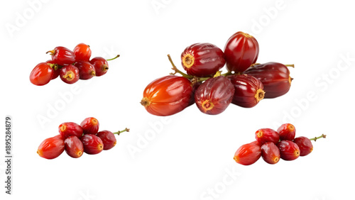 set of date fruit vector images for design