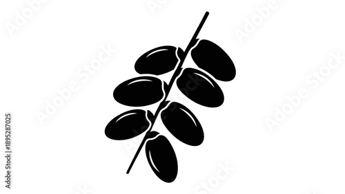 Black Olives on Branch Illustration.