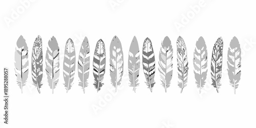 A collection of gray feathers arranged in a horizontal line