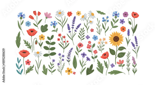 Diverse Wildflower and Garden Floral Collection Vector Illustration for Spring Decor and Botanical Product Branding Assets.