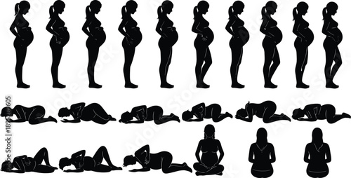 Silhouette collection of a pregnant woman showing different stages of pregnancy growth and prenatal yoga poses for maternity healthcare concepts
