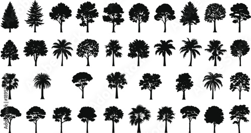 Set of black tree silhouettes including pine, palm, oak, and tropical species, isolated on white background for nature and landscape design.