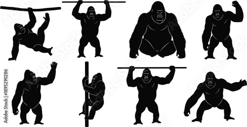 Collection of black gorilla silhouettes in various climbing, standing and sitting poses, isolated on white background, ideal for wildlife and jungle design