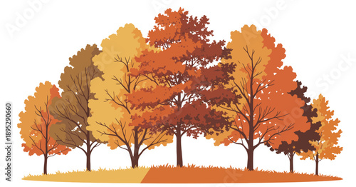 Forest Trees Autumn Silhouette Vector Set Featuring City Park and Woodland Landscape Backgrounds, Isolated Nature Elements Collection for Scenic Design, Illustration and Creative Projects