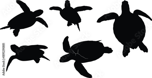 Sea turtle silhouettes set, black marine reptile icons, swimming turtle illustrations, ocean wildlife vector graphics, aquatic animal symbols isolated on white background, shell
