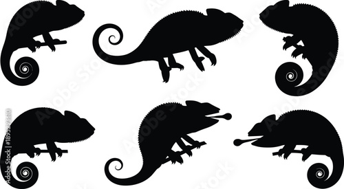 Set of chameleon silhouettes in various poses including climbing on branches and catching prey isolated on white background for design