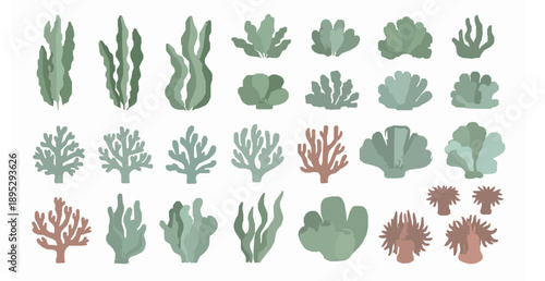 Flat underwater sea plants and coral vector set with kelp algae and soft coral shapes on white background