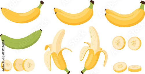 Banana fruit vector set with whole, green, peeled and sliced pieces for tropical healthy food and nutrition design