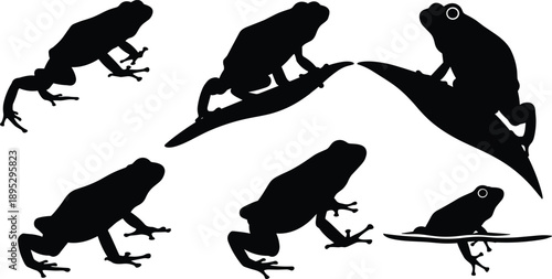Set of frog silhouettes in various poses including jumping sitting on leaves and swimming isolated on white background for design