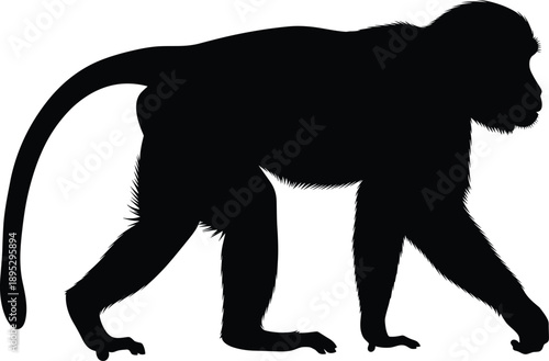 Black monkey silhouette walking side view, primate animal shape, wildlife illustration, isolated on white background, minimal design, nature concept