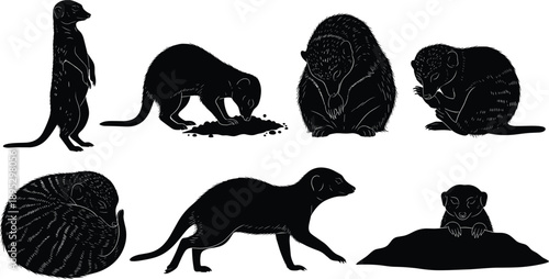 Set of Meerkat Silhouettes Collection Featuring Standing Sentry, Digging, Walking, Curled Up, Grooming, and Emerging from Burrow for Wildlife Design Projects