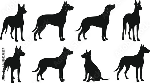 Black and white dog silhouettes collection showing various standing and sitting canine poses for pet breed identification and animal design use