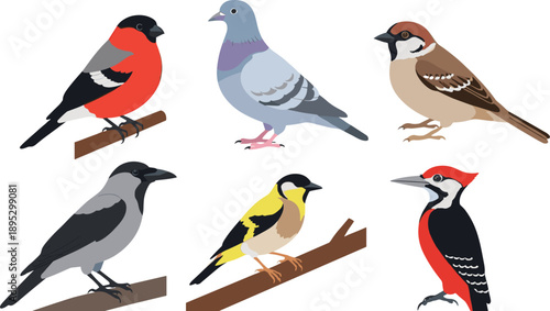 Collection of Detailed Bird Icons Featuring Bullfinch Pigeon House Sparrow Hooded Crow Goldfinch and Woodpecker Perched on Branches in Flat Vector Illustration Set.