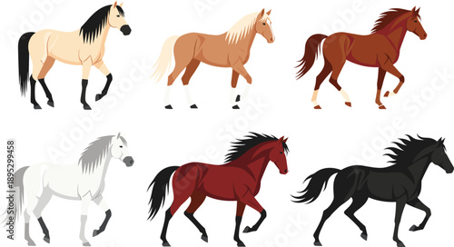 Collection of Elegant Horse Icons Featuring Various Breeds and Colors Like White Brown Black and Chestnut in Detailed Flat Vector Illustration Design Set.