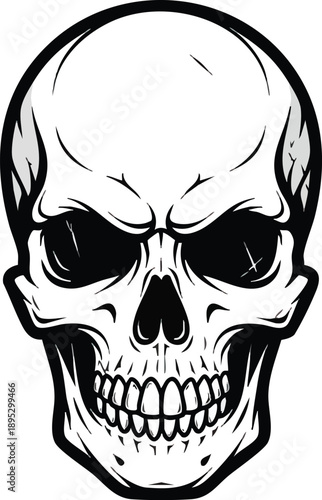 Detailed Black and White Skull Illustration.