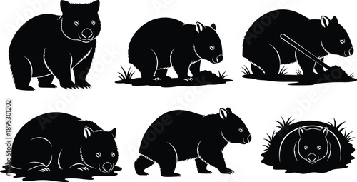 Set of Wombat Silhouettes Collection Featuring Standing, Walking, Digging, Grazing, Sleeping, and Emerging from Burrow for Australian Wildlife Design and Vector Illustration