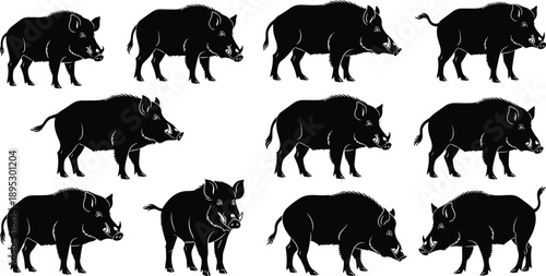 Set of wild boar silhouette illustrations in different poses, black animal vector collection for hunting, wildlife design, nature logo, and forest themed artwork