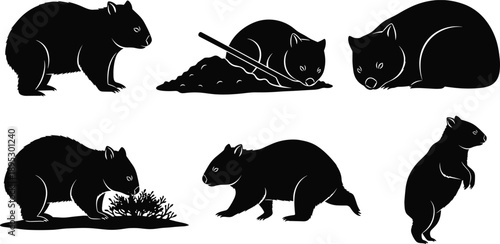 Set of Wombat Silhouettes Collection Featuring Standing, Walking, Digging, Grazing, Sleeping, and Emerging from Burrow for Australian Wildlife Design and Vector Illustration