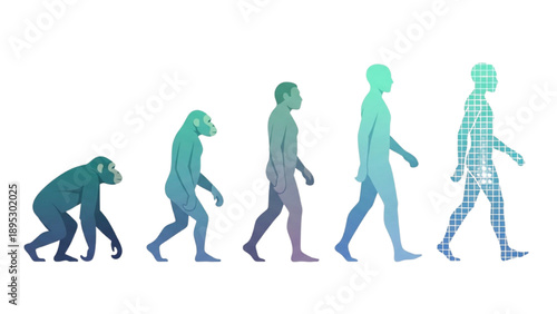 Evolution of Human Forms Illustrated in Various Stages