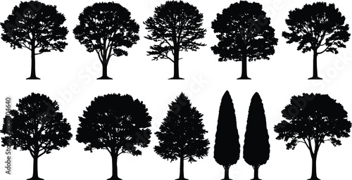 Tree silhouette collection with various deciduous and conifer shapes isolated on white background for forest landscape nature design vector illustration set