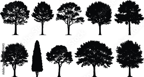 Tree silhouette collection with various deciduous shapes isolated on white background for forest landscape nature design vector illustration graphic elements