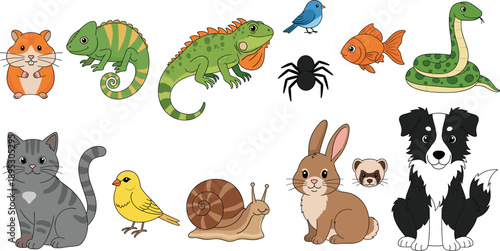 Collection of Cute Pet Animal Icons Featuring Dog Cat Rabbit Hamster Chameleon Iguana Snake Goldfish Spider Snail and Bird in Detailed Flat Vector Illustration.