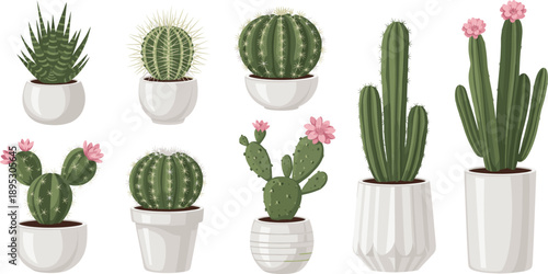 Realistic cactus plant vector set in ceramic pots with flowers for modern interior decor and botanical design