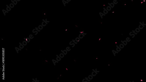 animated sakura flower petals overlay, pink flower petals falling animation, 4k loopable overlay for wedding.