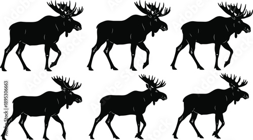 Black and white moose silhouettes collection featuring walking bull moose with large antlers in wildlife nature illustration poses isolated