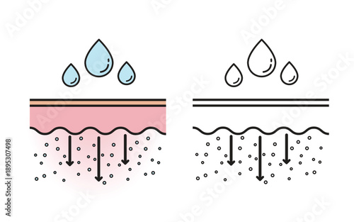 The mechanism of low molecular weight hyaluronic acid penetrate deeper in skin with color and outline drawing illustration. Low molecular HA helps with deep hydration and plump. Flat icon concept.