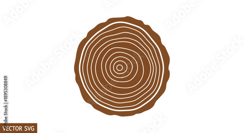 Tree Ring Cross Section - Abstract Wood Texture