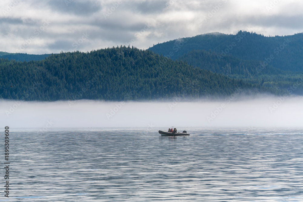 Obraz premium Whale watching travel in rigid inflatable boat, Tofino, Pacific Rim national park, Vancouver Island, Canada.