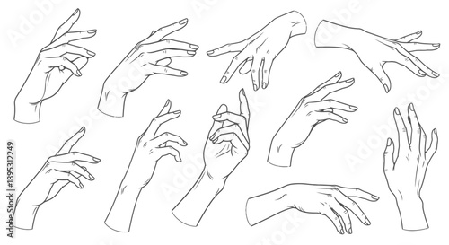Various Hand Gestures Illustrated in Simple Line Art Style.